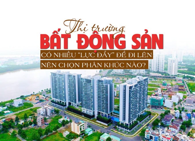 mnd luc day thi truong bds 1122 14183414112312
